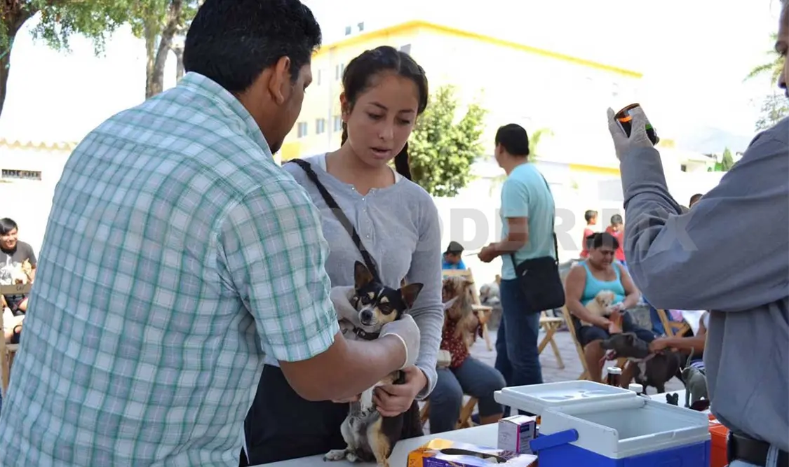 Atención veterinaria itinerante en marcha: Iván Sánchez