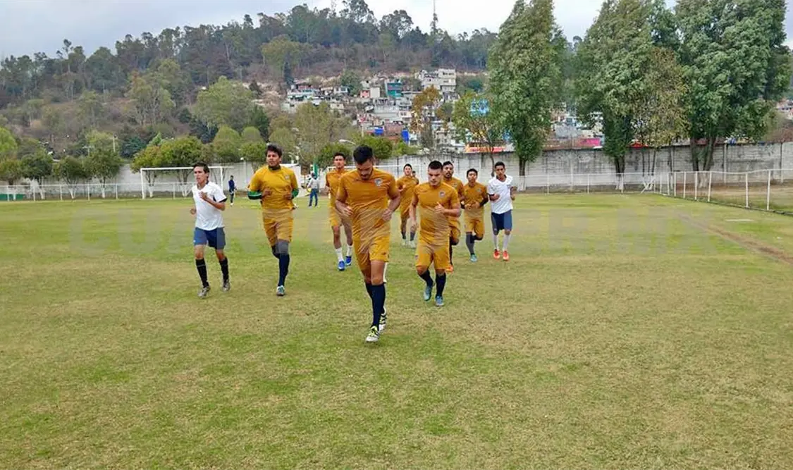 En Ocelotes hay compromiso