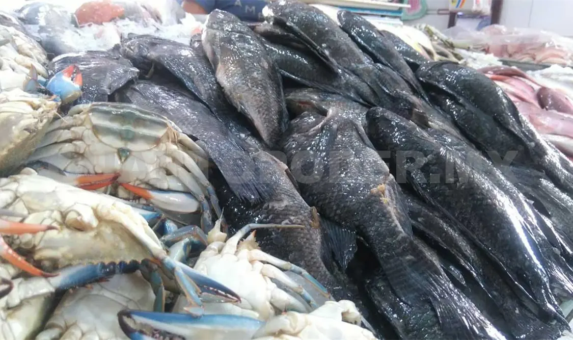 Precios de mariscos suben por temporada