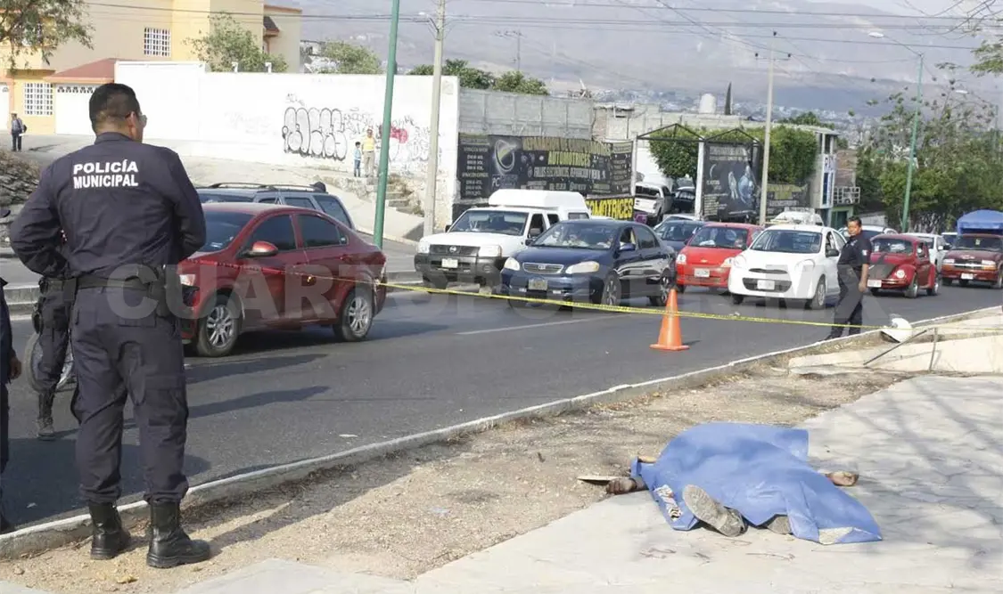 Peatón muere arrollado