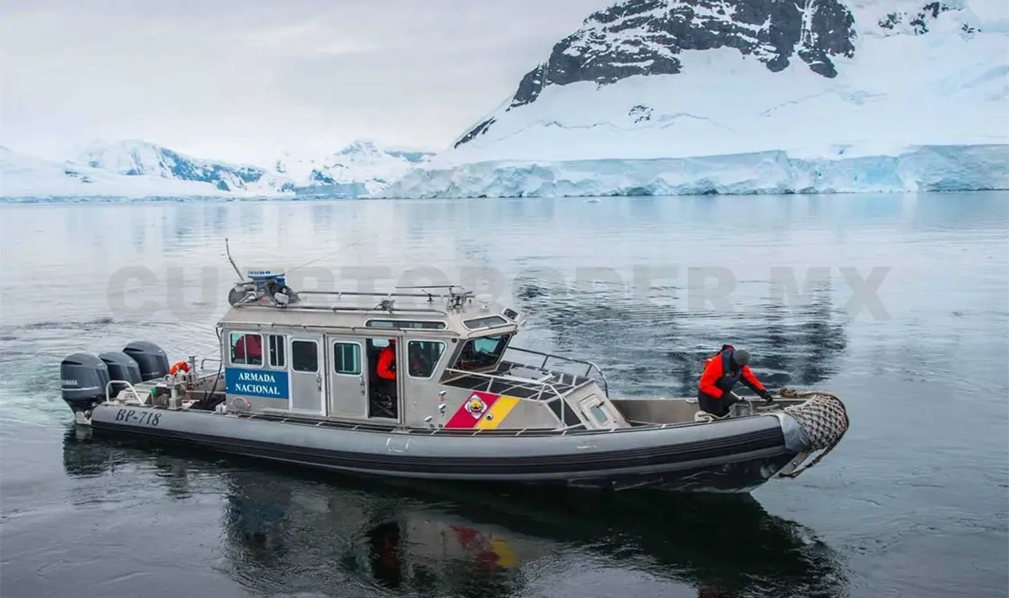 Mal clima mina alimento de pingüinos y ballenas