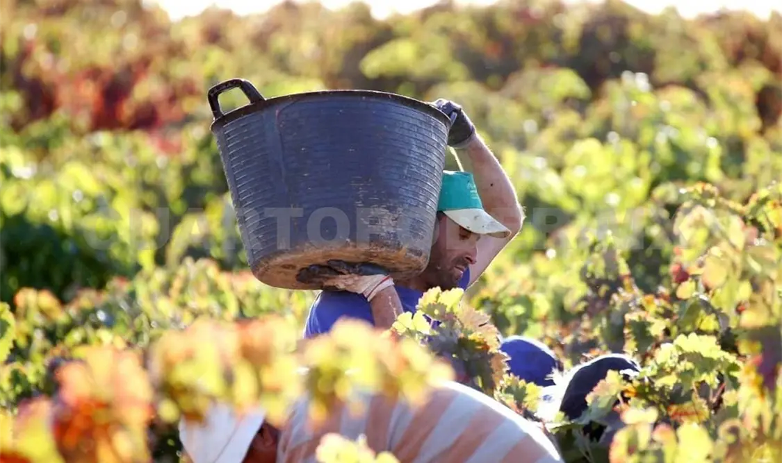 Agricultores de EUA han acudido a México para fortalecer lazos. Agencias