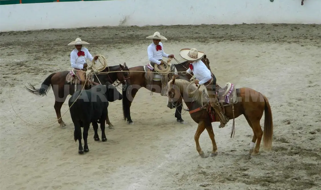Chiapas tiene fechas para LII Campeonato Estatal