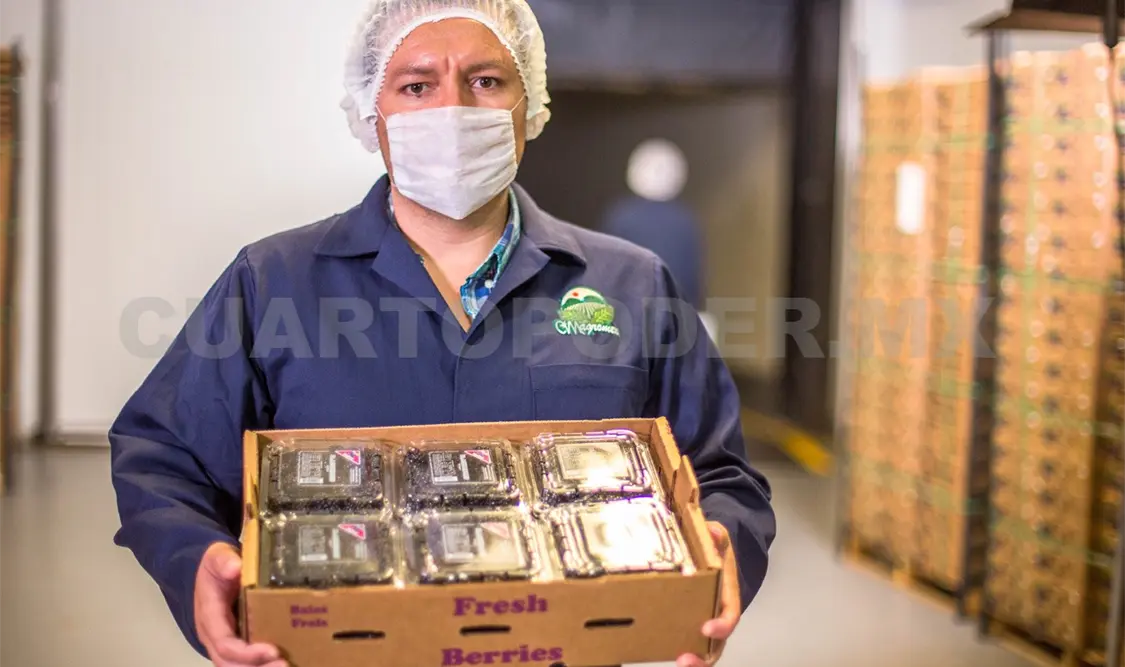 En 2016, las exportaciones agroalimentarias totales sumaron 29 mil 45 millones de dólares. Agencias