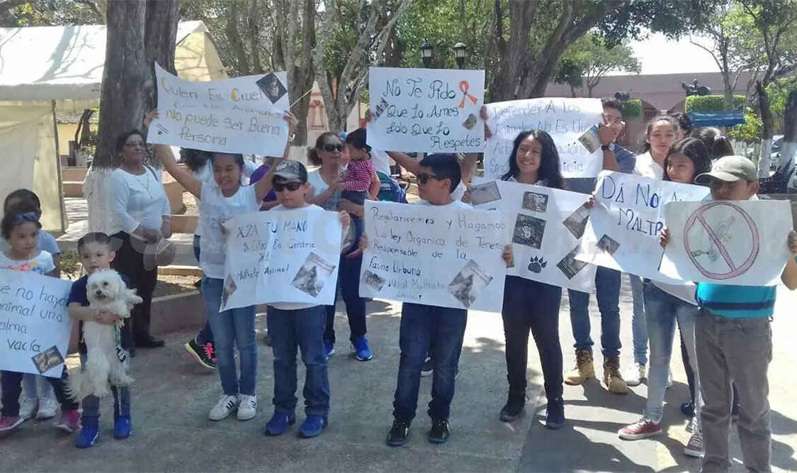 Habitantes inconformes pidieron un alto al maltrato animal que en las últimas fechas se ha registrado en Comitán. CP