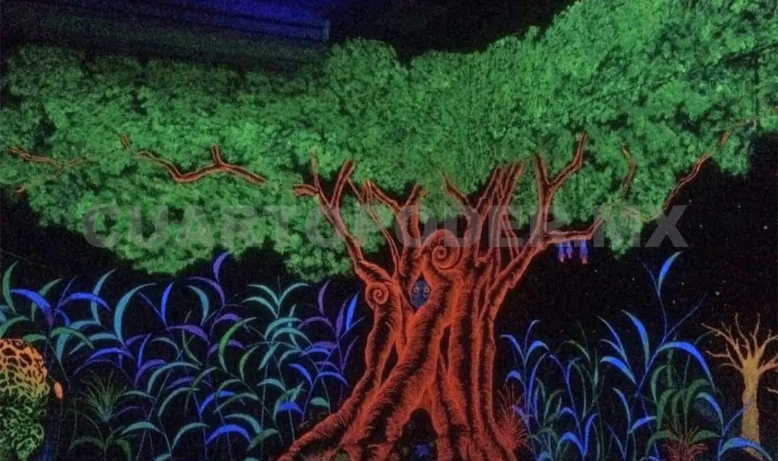 En el espacio abierto en el Much se abordará el tema de la bioluminiscencia. Diana Ramírez/CP