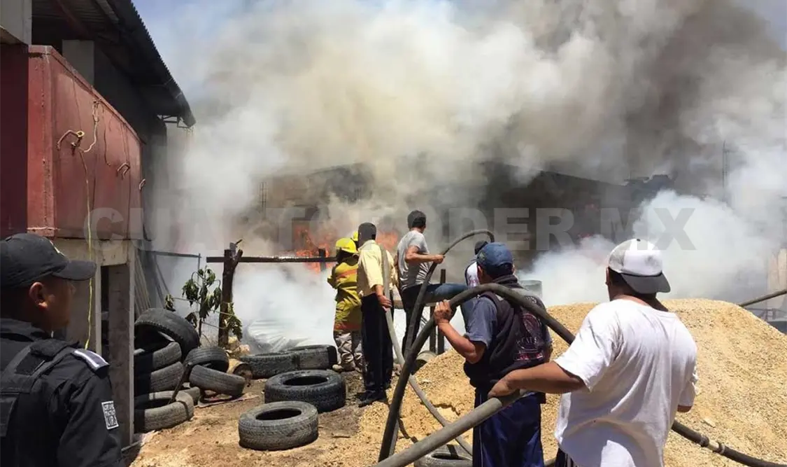 Perecen dos perros en voraz incendio