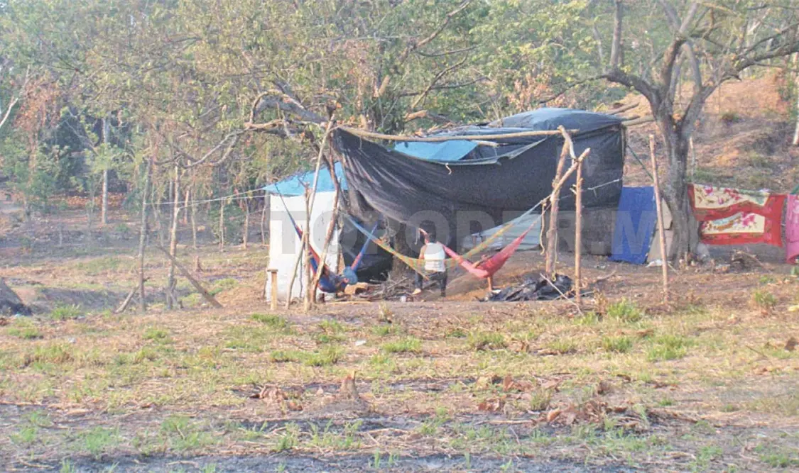 Productores piden desalojar a invasores de tierras