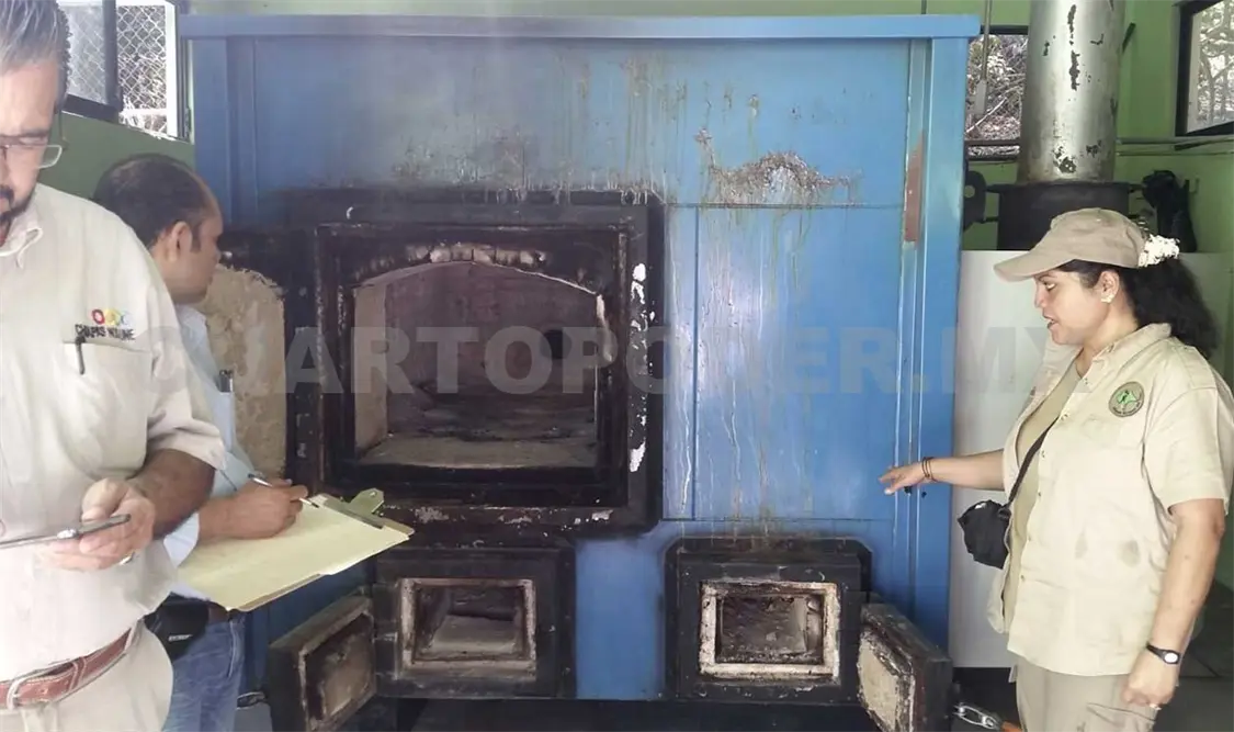 No se encontraron anomalías que generen un riesgo ambiental o sanitario en el lugar. Cortesía