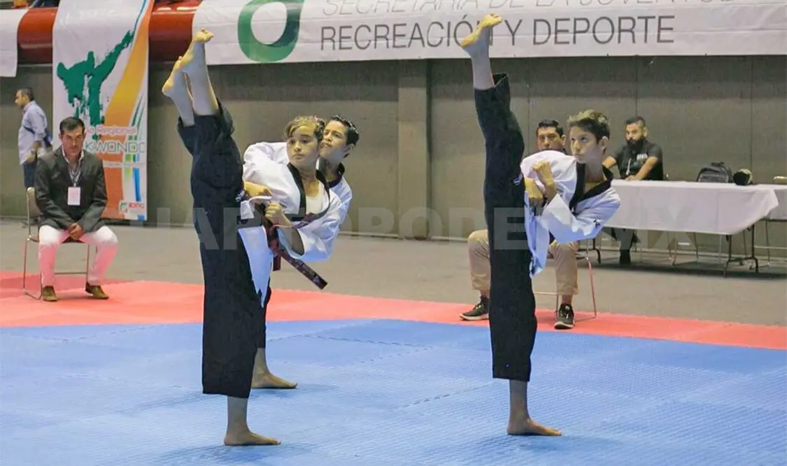 Regional de Tae Kwon Do de Olimpiada y NJ 2017