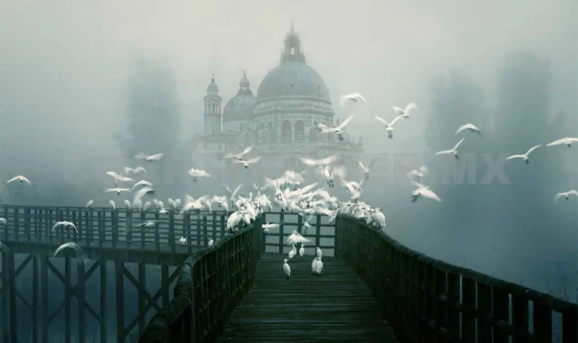 Iglesia de Santa Maria della Salute, construida tras la última epidemia de peste en Venecia, en el siglo XVIII. Cortesía.