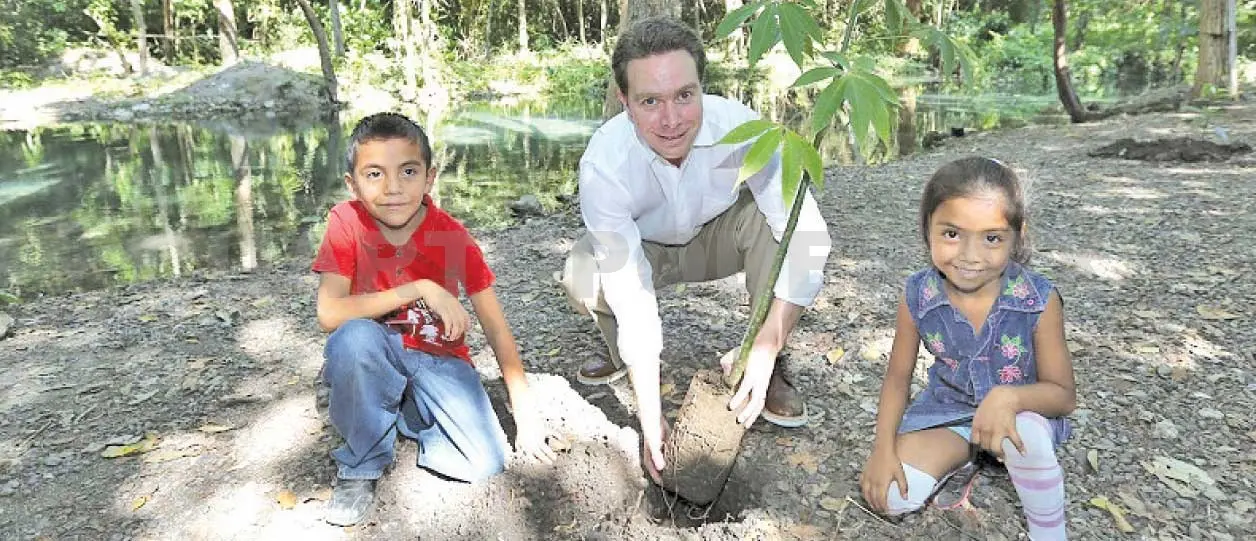 Chiapas, segundo con mayor superficie reforestada