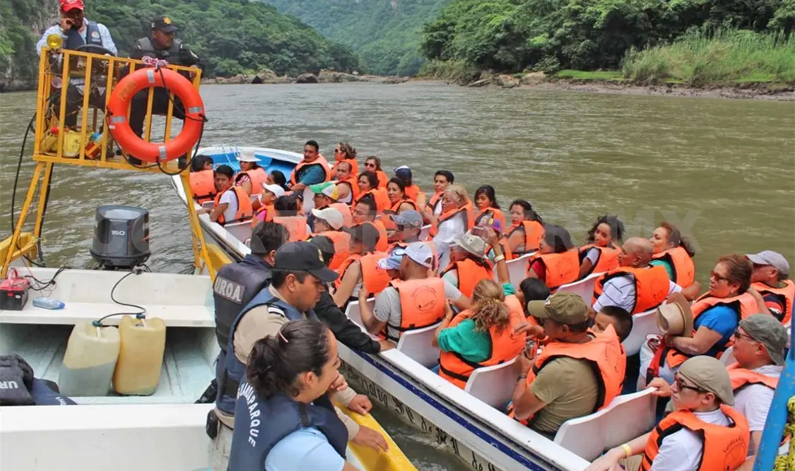 Comienzan operativos en áreas naturales