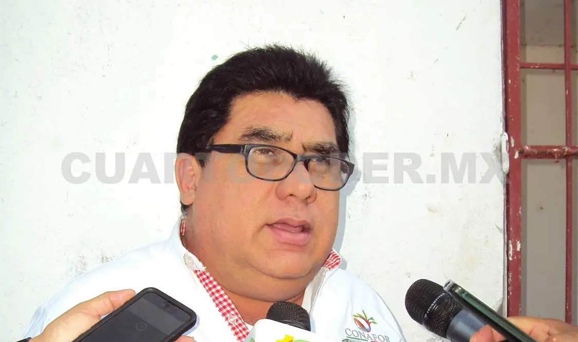Necesario sumar esfuerzos contra incendios en Chiapas