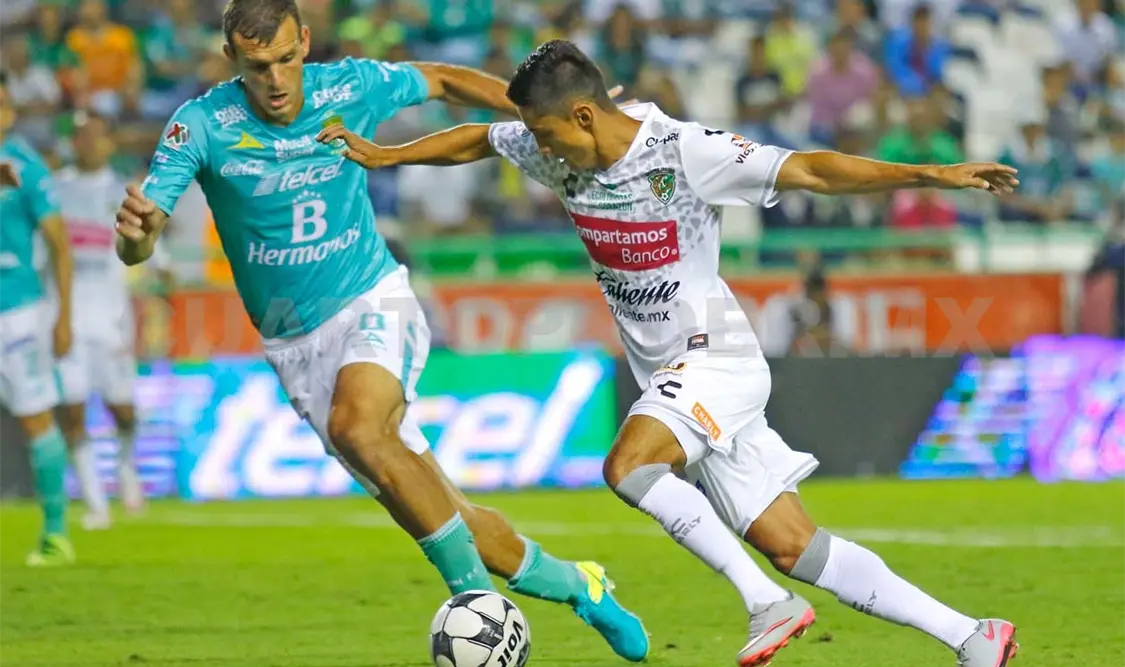 Duelo de fieras en el Zoque