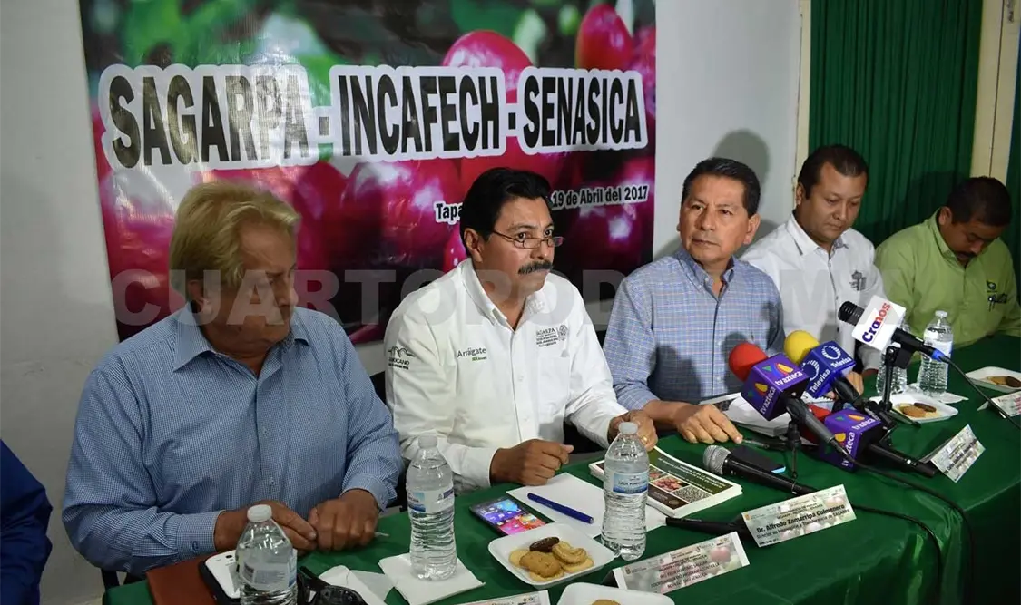 Afirman que hay blindaje contra roya naranja