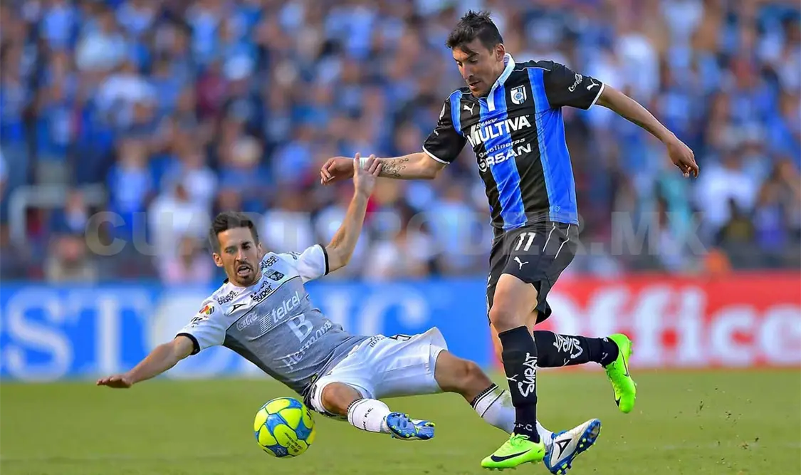Lozano asegura que Gallos solo piensa en ganar