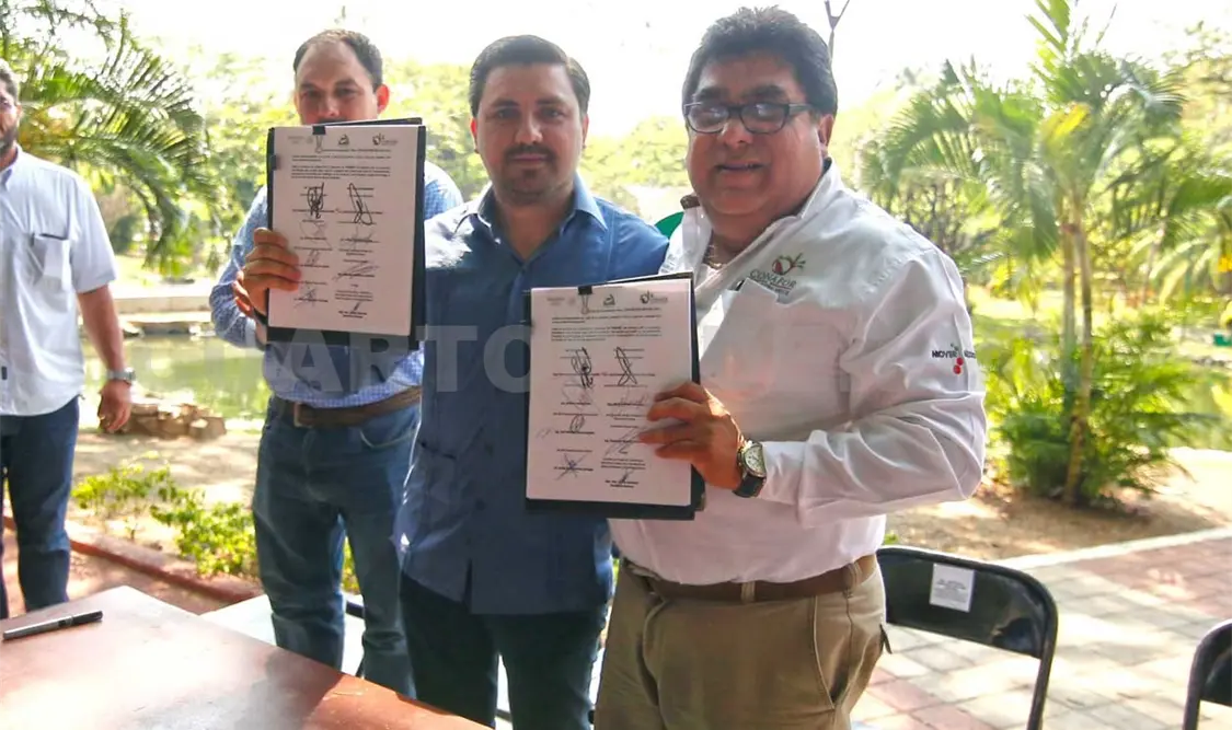 Continuará programa de reforestación