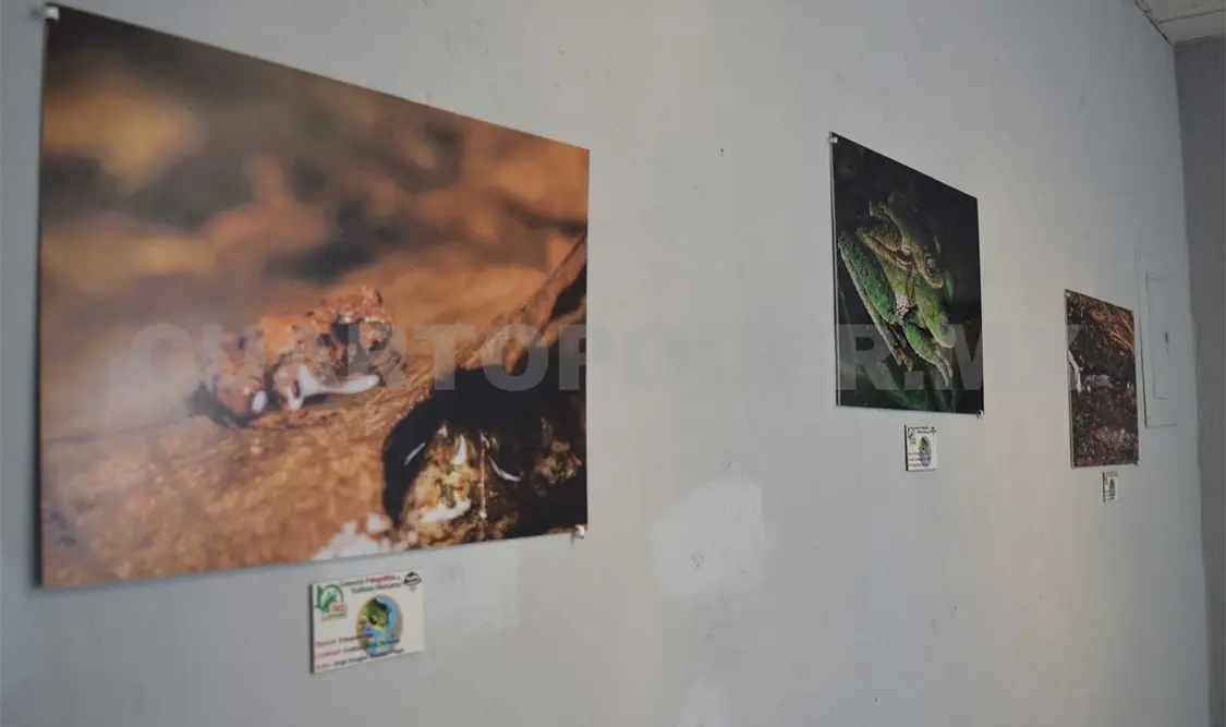 Inauguran exposición fotográfica Anfibios