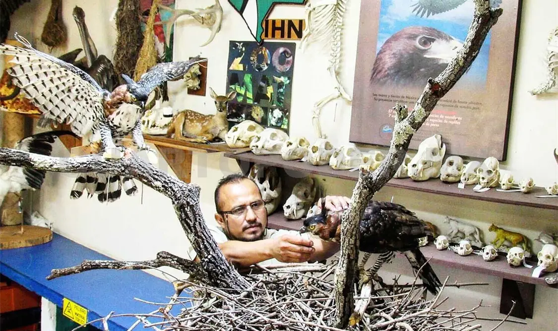 Preparan exposición por aniversario