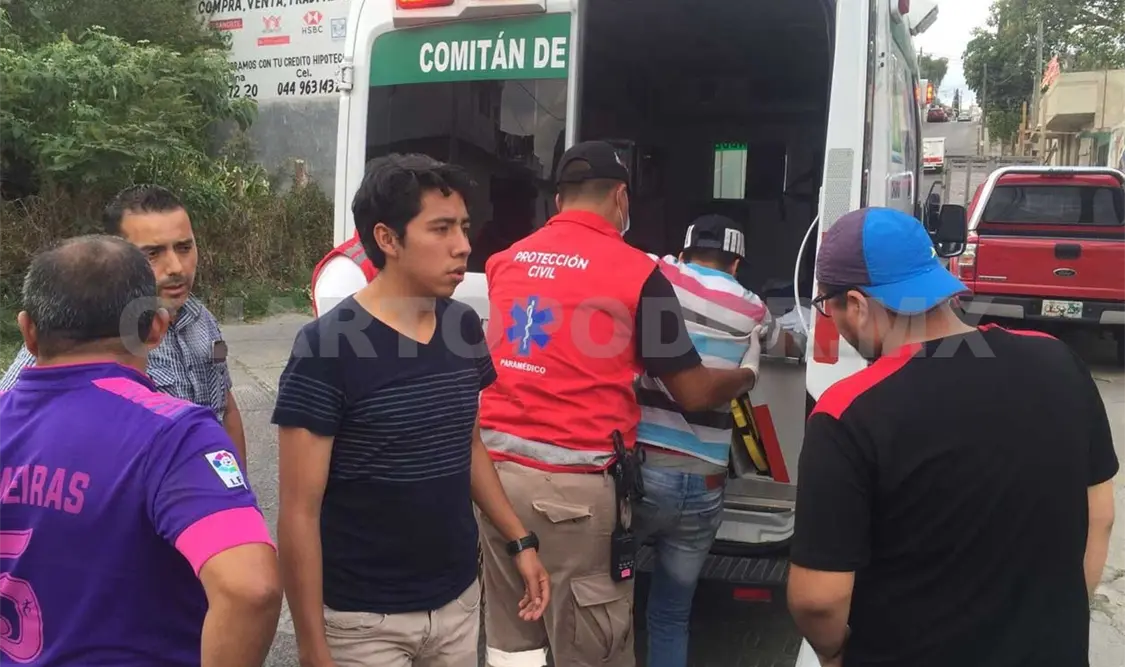 Hermanos lesionados al ser embestidos