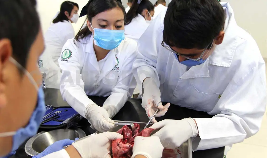 Crece incidencia de lupus entre mujeres de Chiapas