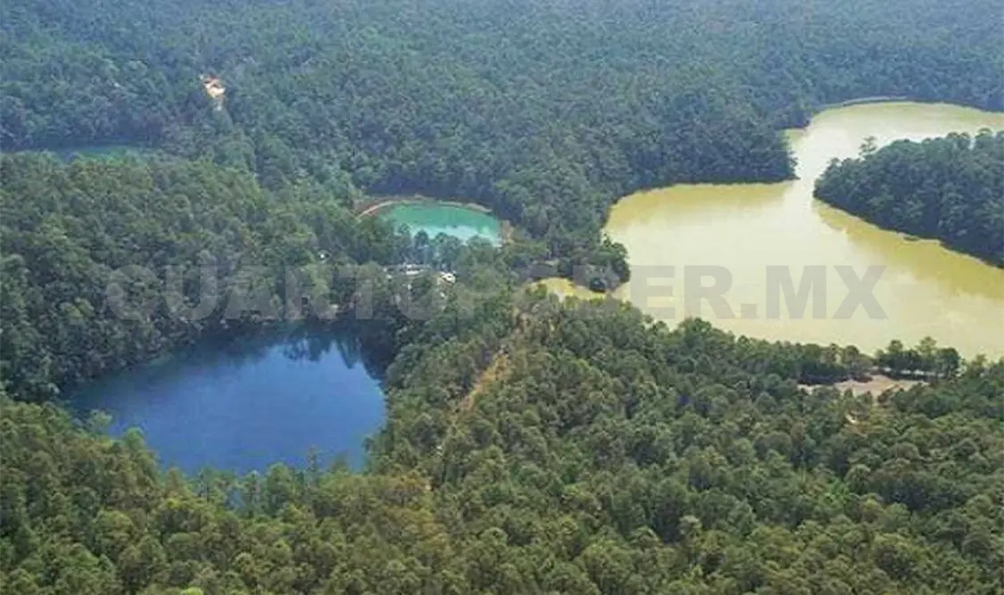 Exigen reactivar plan de rescate a Montebello