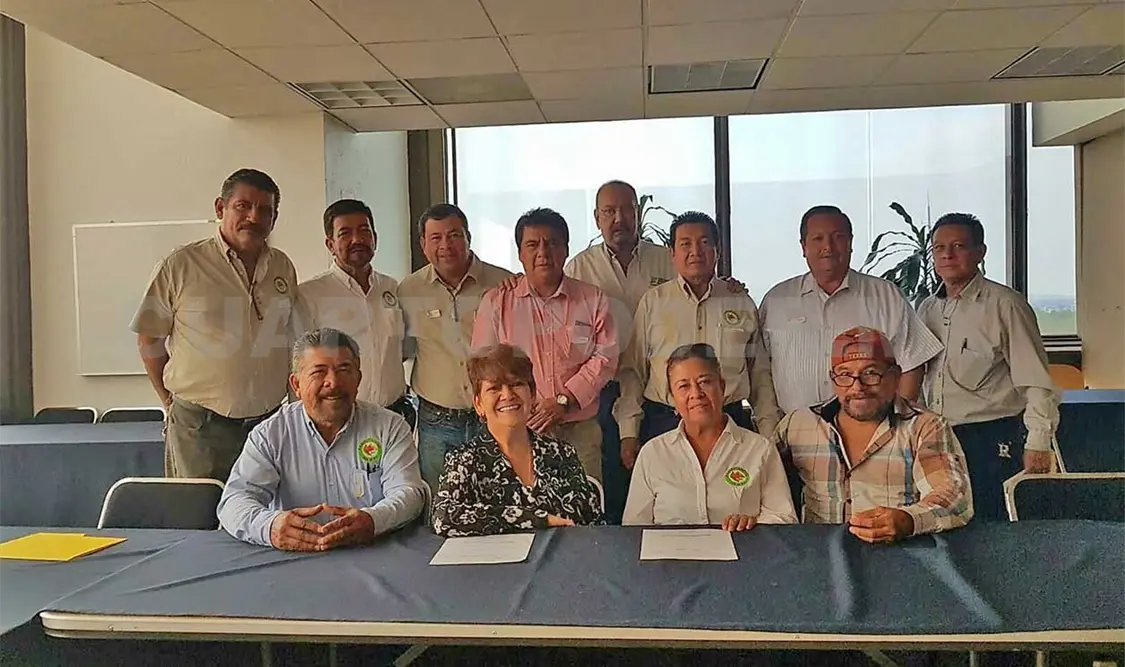 Avanza emisión de NOM para rambután