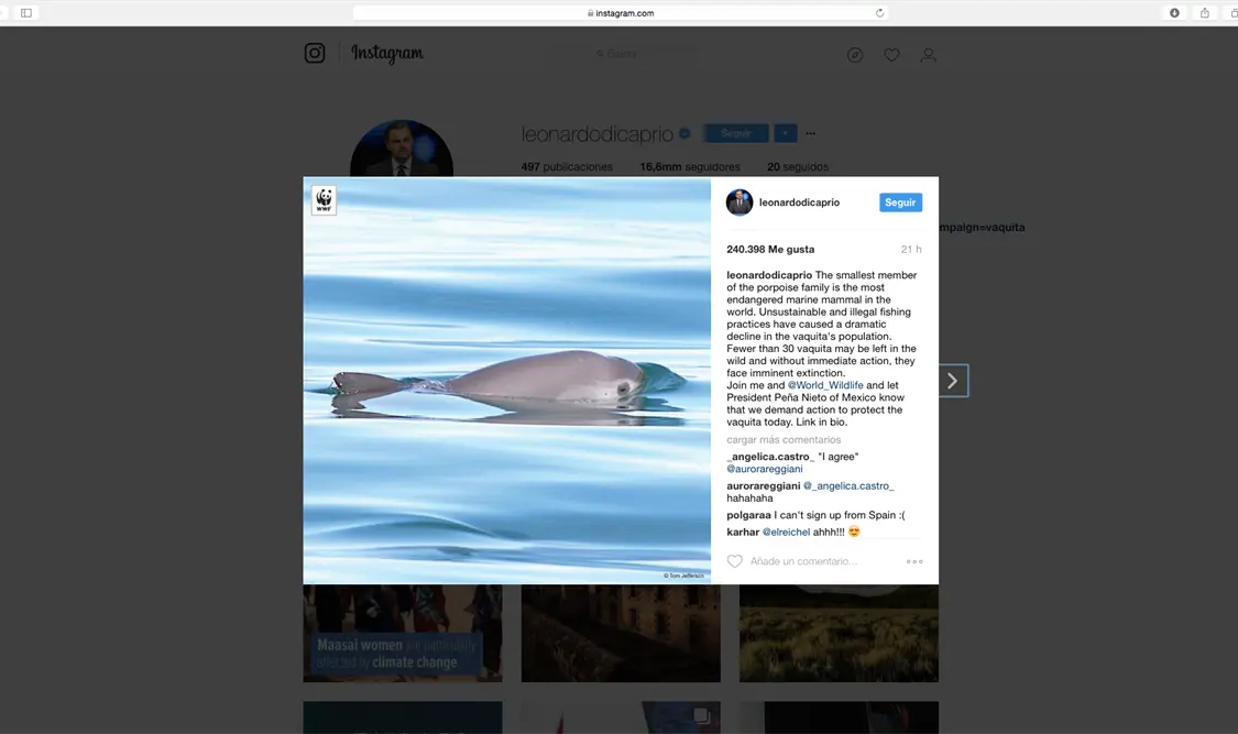 DiCaprio pide a Peña Nieto salvar a la vaquita marina