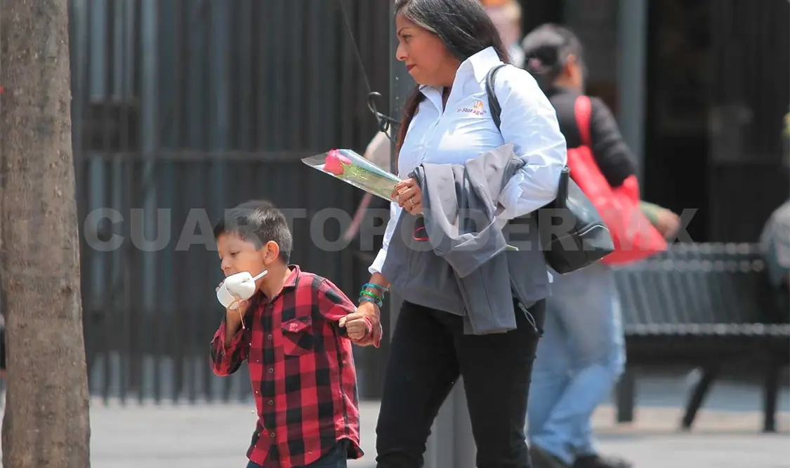 Flores y electrodomésticos, regalos que más reciben las mamás el 10 de mayo