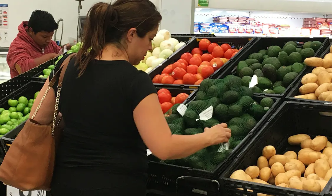 Menor producción y mayor demanda mundial, causas del alza en el precio del aguacate