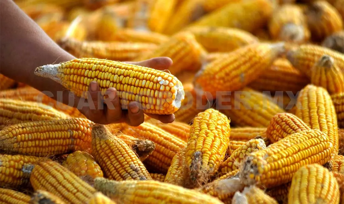 México ampliará comercio agroalimentario