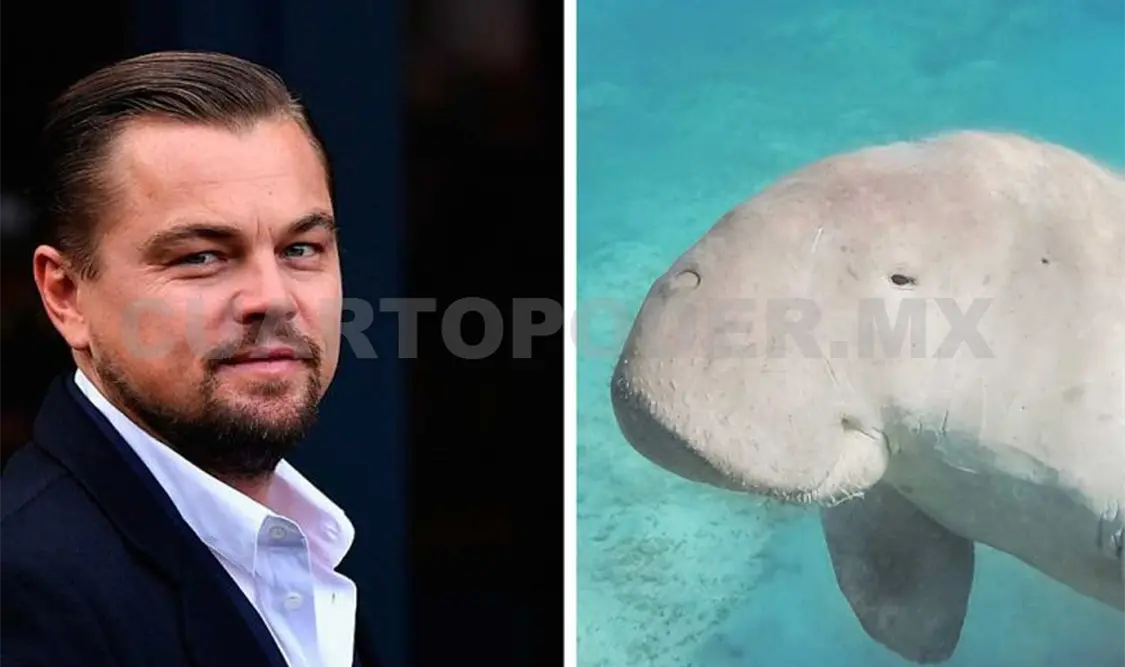 EPN le responde a Leonardo DiCaprio
