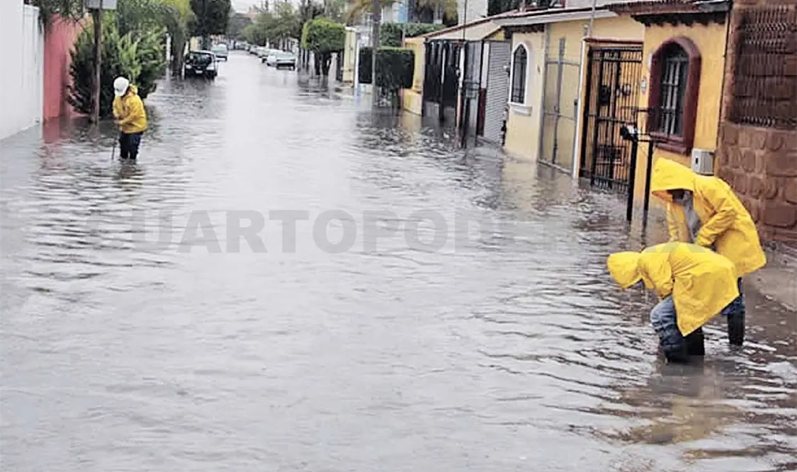 Detención y multas por tirar basura en la calle