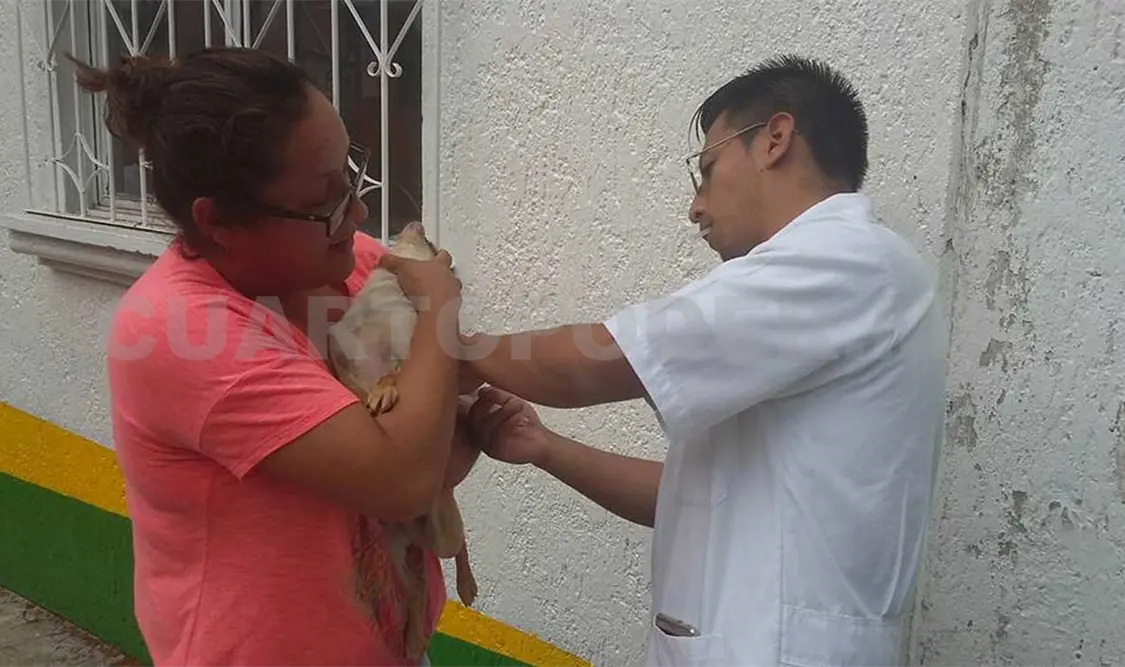 Realizan foro para la protección de animales