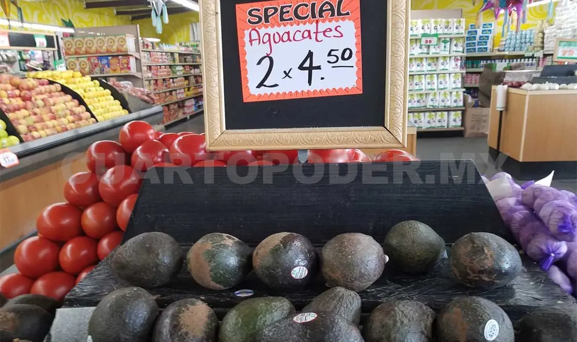 “Oro verde mexicano”, a niveles récord en EUA