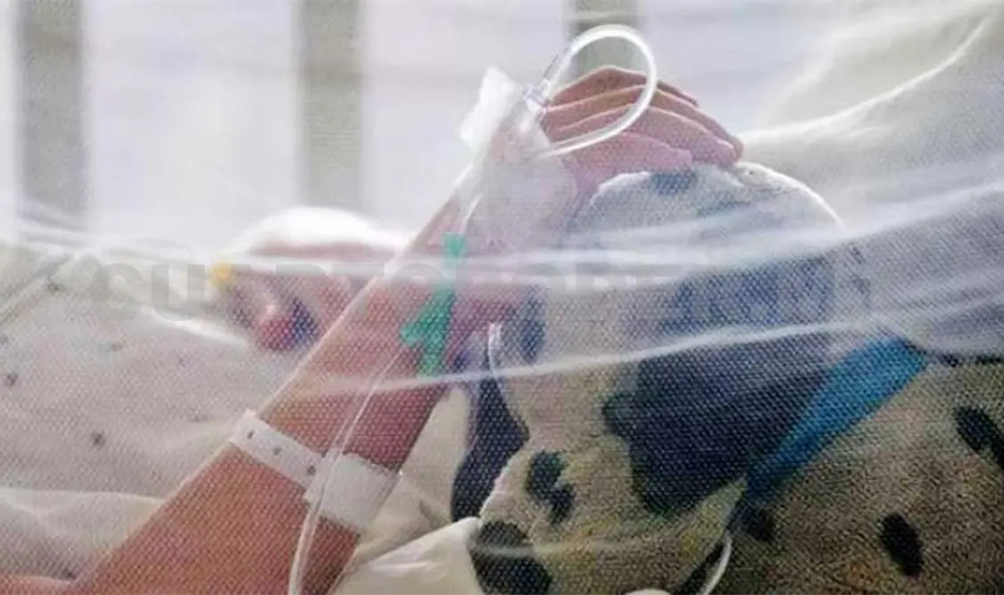 Niña lucha por su vida; sus padres también