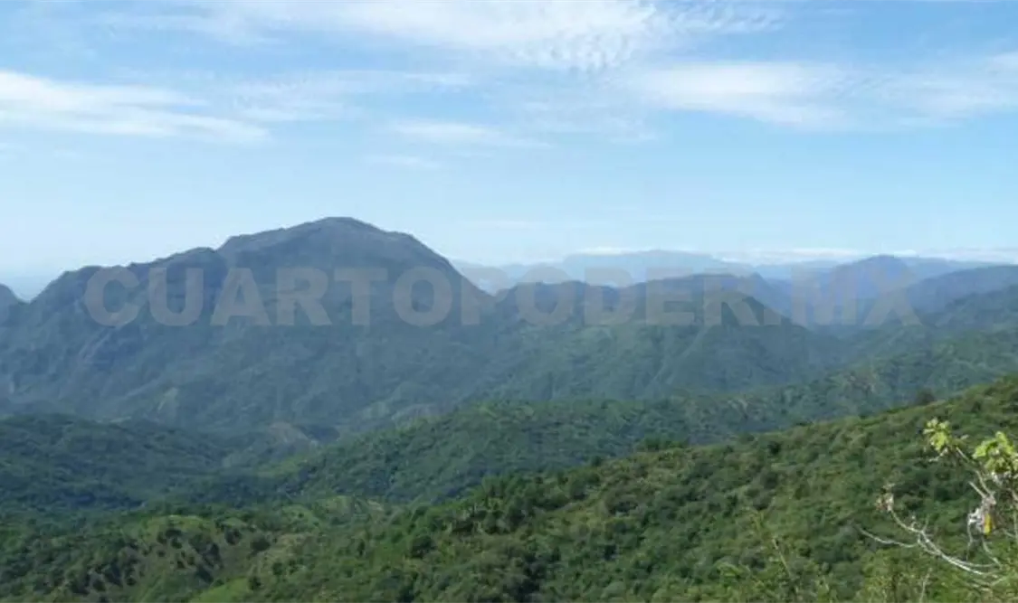 Aspecto de la zona de los Chimalapas. CP