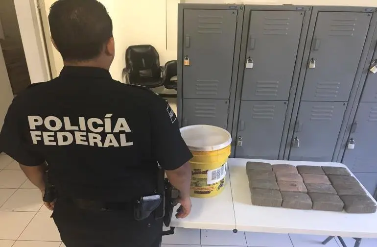Policía Federal detecta marihuana en mole