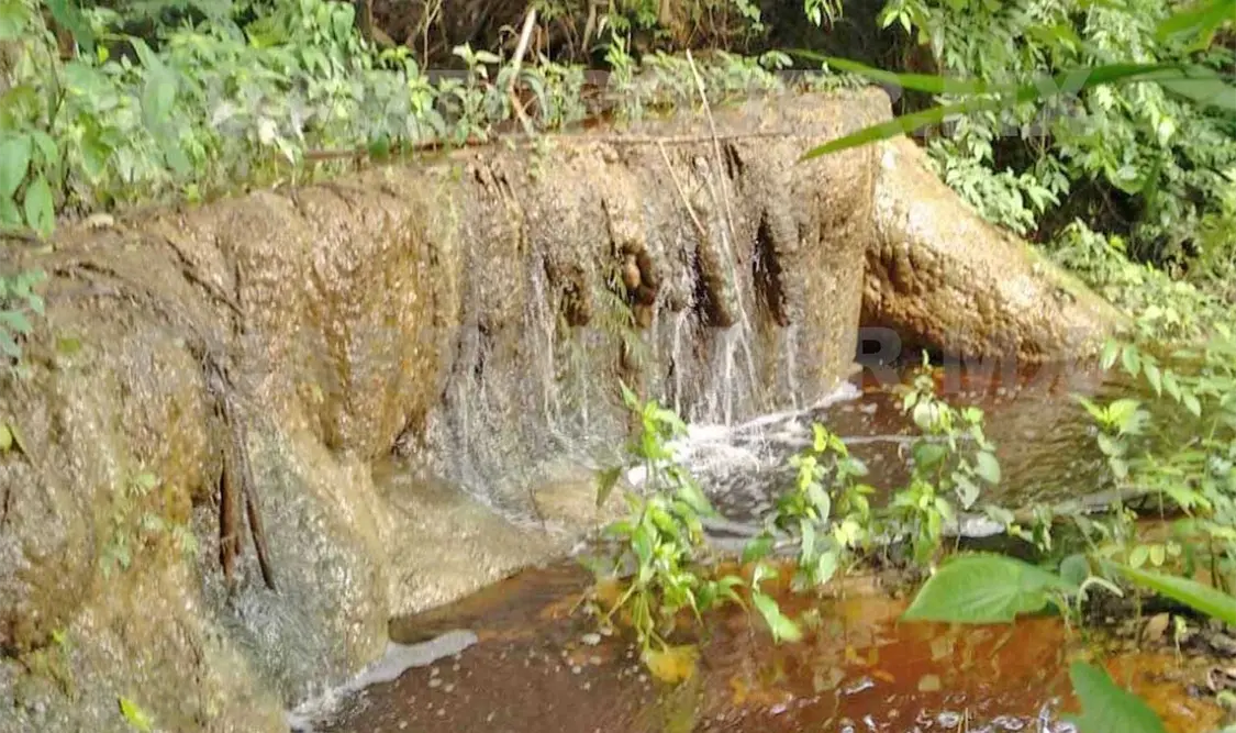 Fallo no dictamina daño ambiental