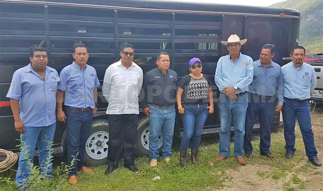 Entregan en donación ganado vacuno y conejos