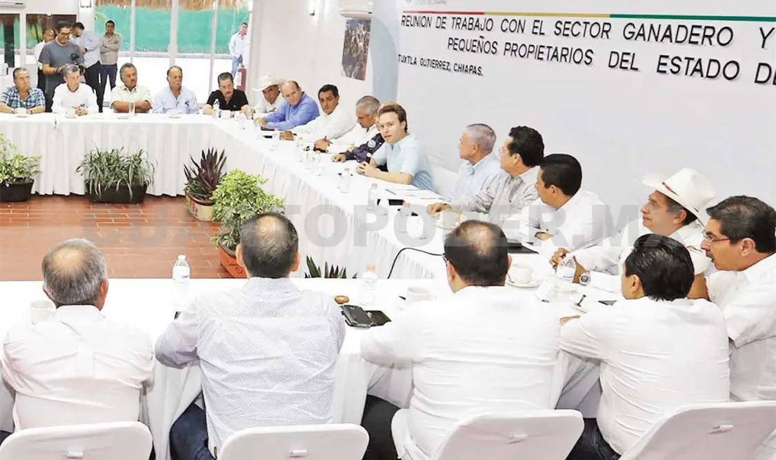 Cero tolerancia a invasión de tierras: Velasco