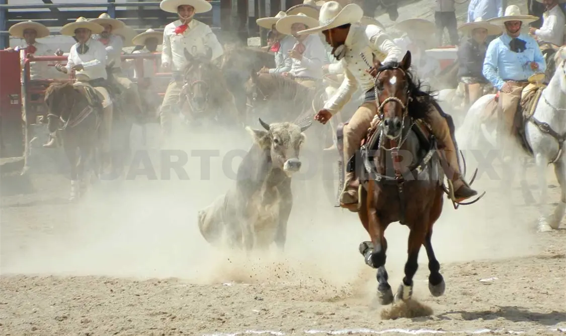 En marcha el segundo Campeonato Estatal