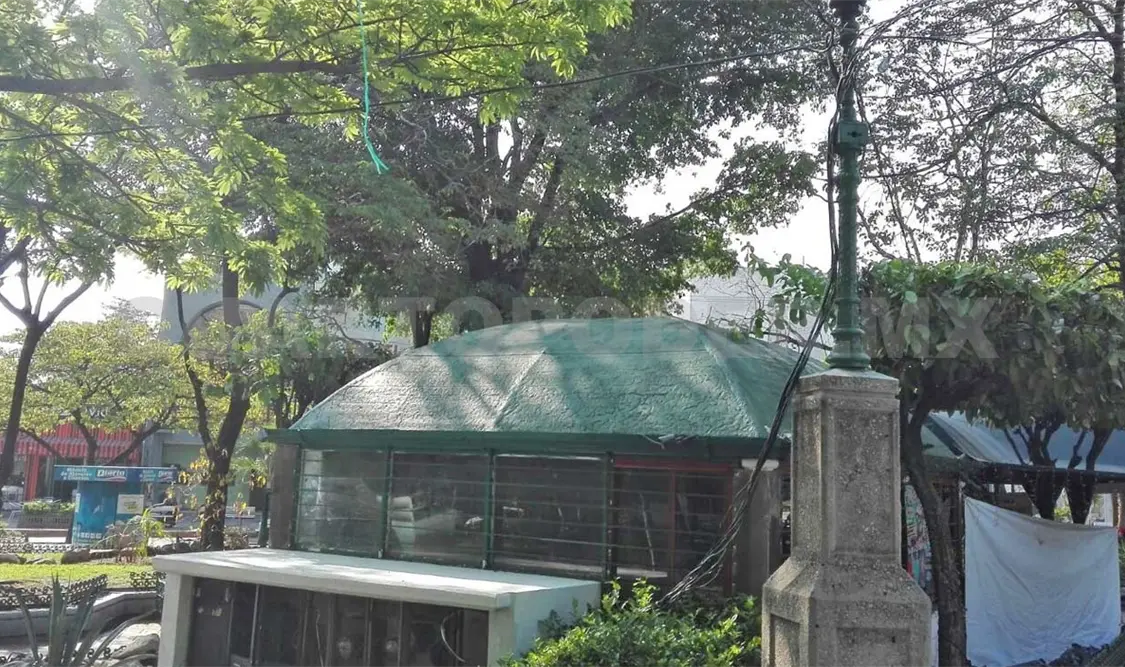 Se deteriora pista de baile y entorno del Parque de la Marimba. Guillermo Ramos / CP