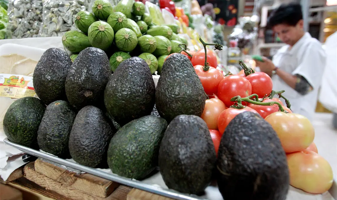 Aguacate registra precio máximo de 85 pesos en mercados del país