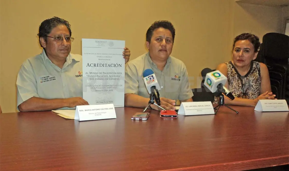 La noticia fue dada a conocer recientemente por autoridades ambientales del estado de Chiapas. Diana Ramírez/CP