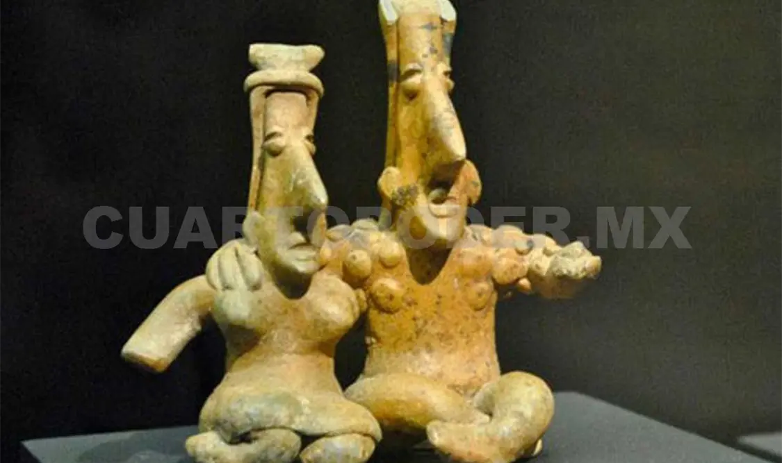 Presentan exposición temporal Semillas de Vida