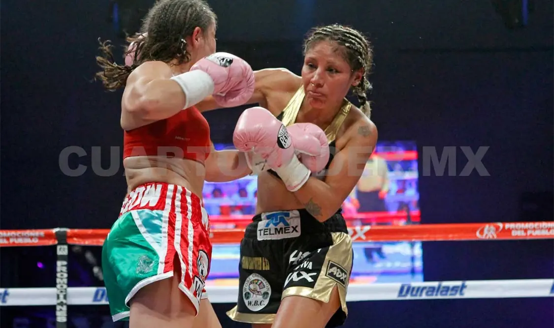 Por confirmarse pelea entre “Barby” y Nava