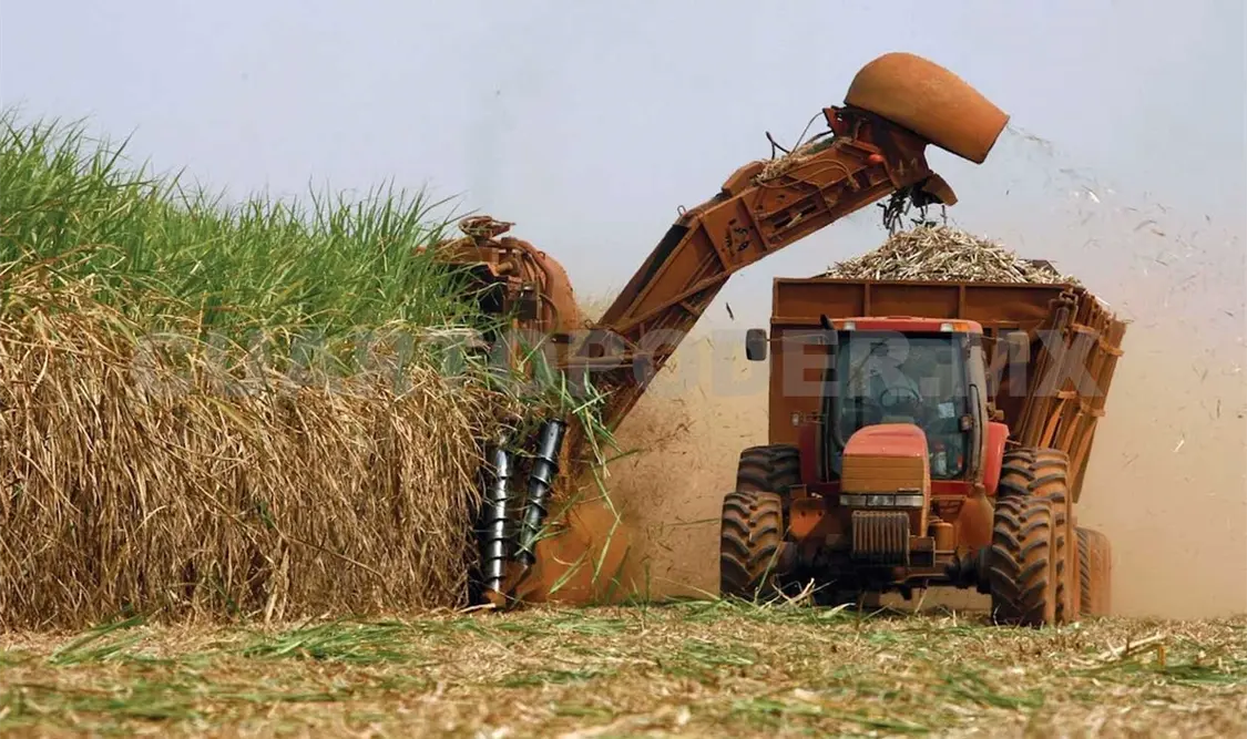 Chiapas, estratégico para la industria azucarera
