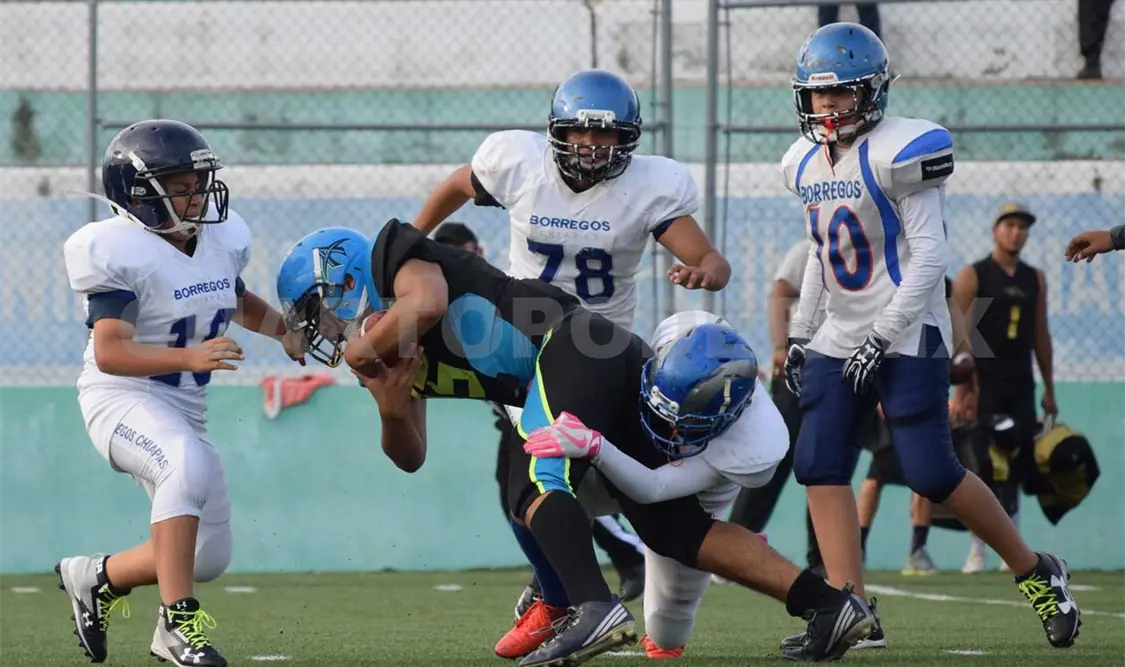 Osos vs Borregos en semifinales de bantam
